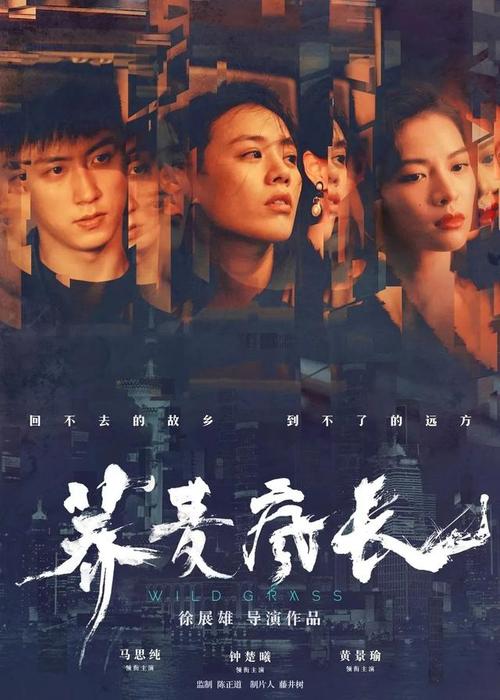 不动产权证在哪里查询和打印呢